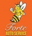 Forte Auto Service