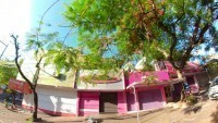 Foto de Delírio Pink