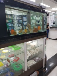 Foto de Mundo Aquático