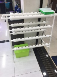 Foto de Mundo Aquático