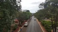Foto da loja Terra Nova