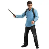 BONECO HARRY POTTER SERIES 1  (60573)