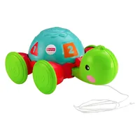 Jogo Didático Tartaruga De Aprendizagem em Casa Americana