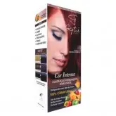 Tintura para Cabelo Gqti Ruivo Caoba 66.46