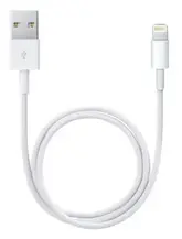 Apple Cabo Lightning USB ME291 Compatível com iPhone 5/6 ( 0,5m)