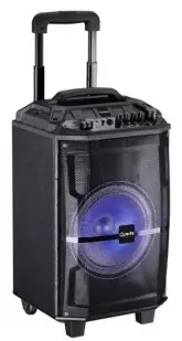 Caixa de Som Quanta QTSPB320 8