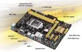 PLACA MAE S1150 ASUS H81M-D PLUS USB/VGA/DVI/PARALELO/LAN