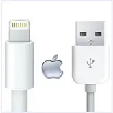 Cabo USB IPhone 5/5S (original)