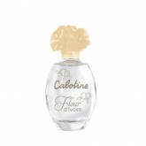 Perfume Feminino Cabotine Fleur d'Ivoire 100ml