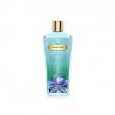 Victoria's Secret Daily Body Wash Aqua Kiss 250ml