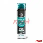 BREEZE MEN ESPUMA BARBA DRY PROTECTION 200ML