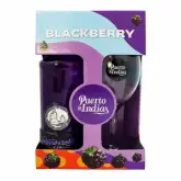 GIN PUERTO DE INDIAS BLACKBERRY KIT 1 GARRAFA 700ML + 1 TAÇA PERSONALIZADO