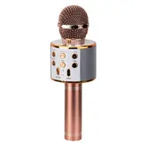 Microfone Sem Fio Ecopower Ep-2114 - 3.5Mm/Usb/Sd/Aux - Com Speaker - Dourado