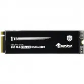 Ssd M.2 De 1Tb Keepdata Kdnv1T4.0-16Gts 5.100 Mb/S De Leitura - Preto