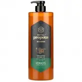 Shampoo Para Cabelo Kerasys Royal Propolis Green - 1L