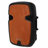 Caixa Pure Acoustics Pmw-3012 Amplificada Com Microfone