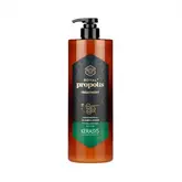 Tratamento Kerasys Royal Propolis Green 1L