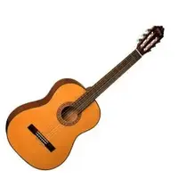 Washburn C40 A em Rec Music