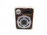 RADIO ECOPOWER EP-F207 - BATERIA - USB - SD