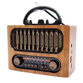 Radio Ecopower Ep-F231 Recarregavel Usb Micro Sd Bluetooth