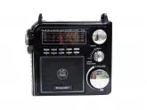 RADIO ECOPOWER EP-F62 - BATERIA - SD - USB - BIVOLT