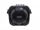SPEAKER ECOPOWER EP-1201 - USB - SD - RADIO FM - CONTROLE