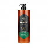 Kerasys Propolis Royal Green Treatment 1Lt