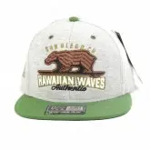 Bone Aba Reta SAN DIEGO HAWAIIAN WAVES Laynr`s - Cinza com Verde