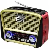 Rádio Portátil AM/FM/SW Ecopower EP-F108B 3W com Bluetooth/USB - Preto e Dourado