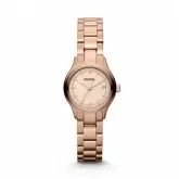 REL FOSSIL ES3167