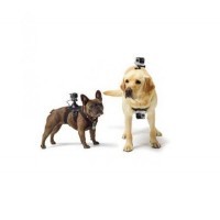 Outros Acessórios para Filmadora GoPro Peitoral para Cachorro ADOGM-001