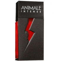 Perfume Animale Intense Masculino 100ML