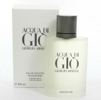 Perfume Giorgio Armani Acqua di Gio Masculino 100ML