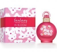 Perfume Britney Spears Fantasy In Bloom Feminino 100ML no Paraguai