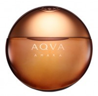 Perfume Bvlgari Aqva Amara Masculino 50ML