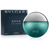Perfume Bvlgari Aqva Masculino 100ML