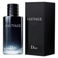 Perfume Christian Dior Sauvage EDT Masculino 100ML