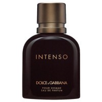 Perfume Dolce & Gabbana Intenso EDP Masculino 75ML