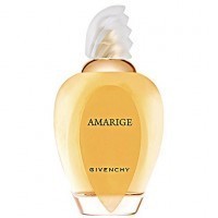 Perfume Givenchy Amarige Feminino 50ML