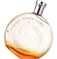 Perfume Hermes Eau Des Merveilles Feminino 100ML
