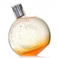 Perfume Hermes Eau Des Merveilles Feminino 100ML