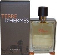 Perfume Hermes Terre D'Hermes EDT Masculino 100ML