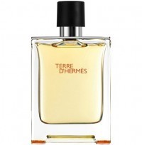 Perfume Hermes Terre D'Hermes EDT Masculino 200ML
