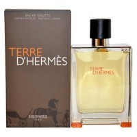 Perfume Hermes Terre D'Hermes EDT Masculino 200ML