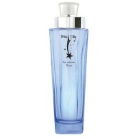 Perfume New Brand Blue Sky Feminino 100ML