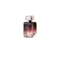 Perfume New Brand Caress Feminino 100ML